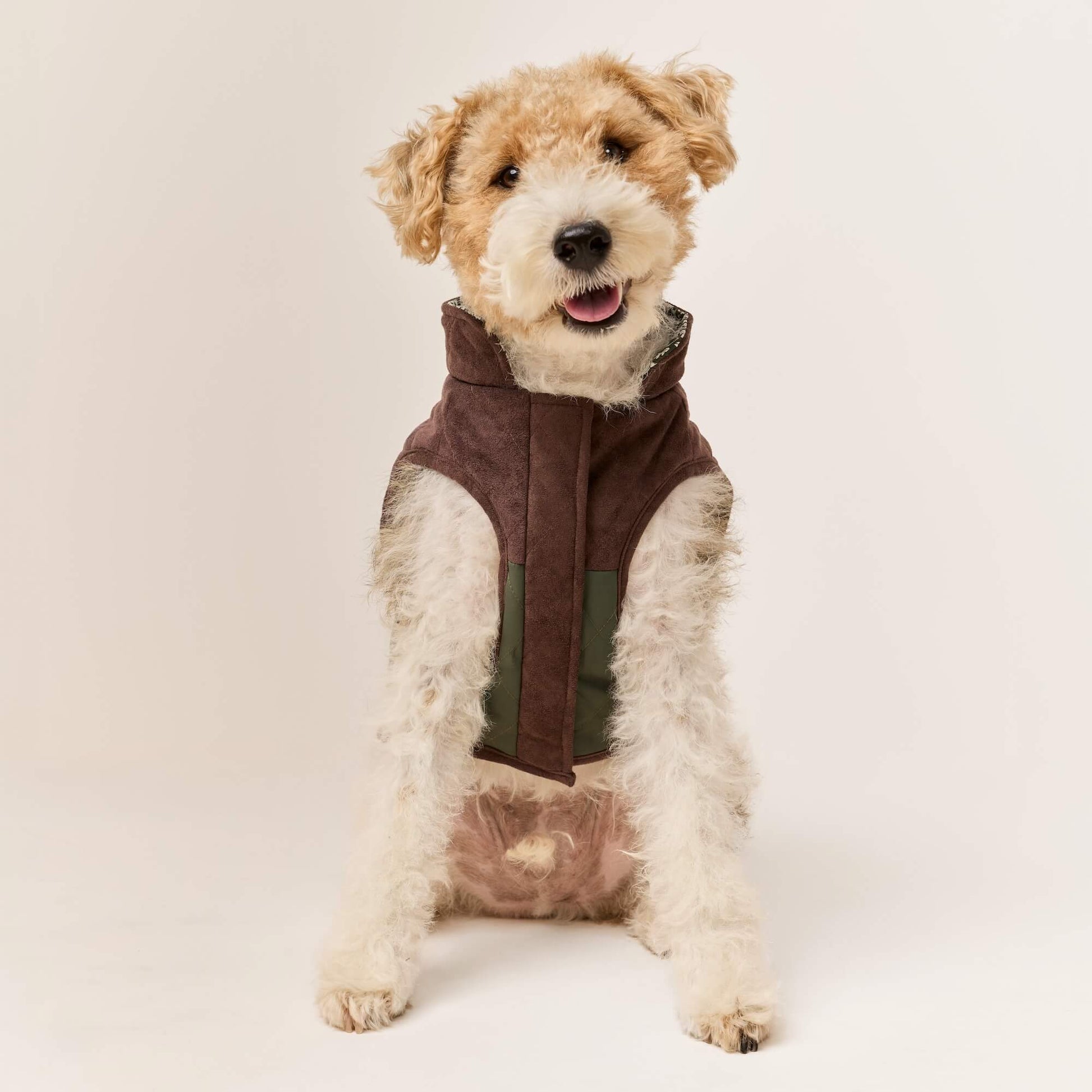 #Modeled by Sesame (27lbs) in Medium