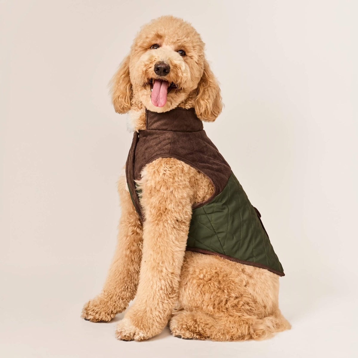#Modeled by Luna (40lbs) in Large