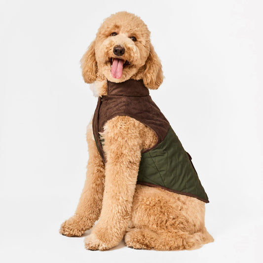 Olive Reversible Dog Jacket view 1