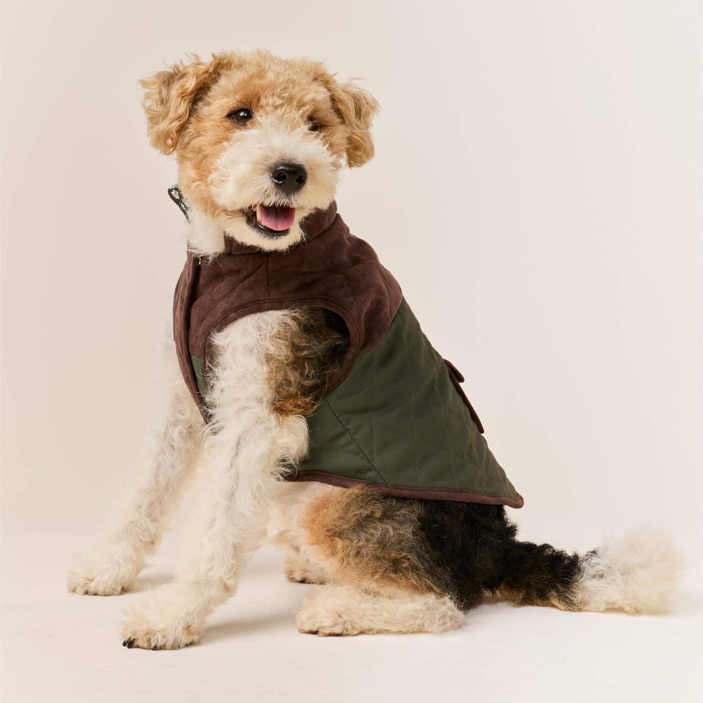 #Modeled by Sesame (27lbs) in Medium