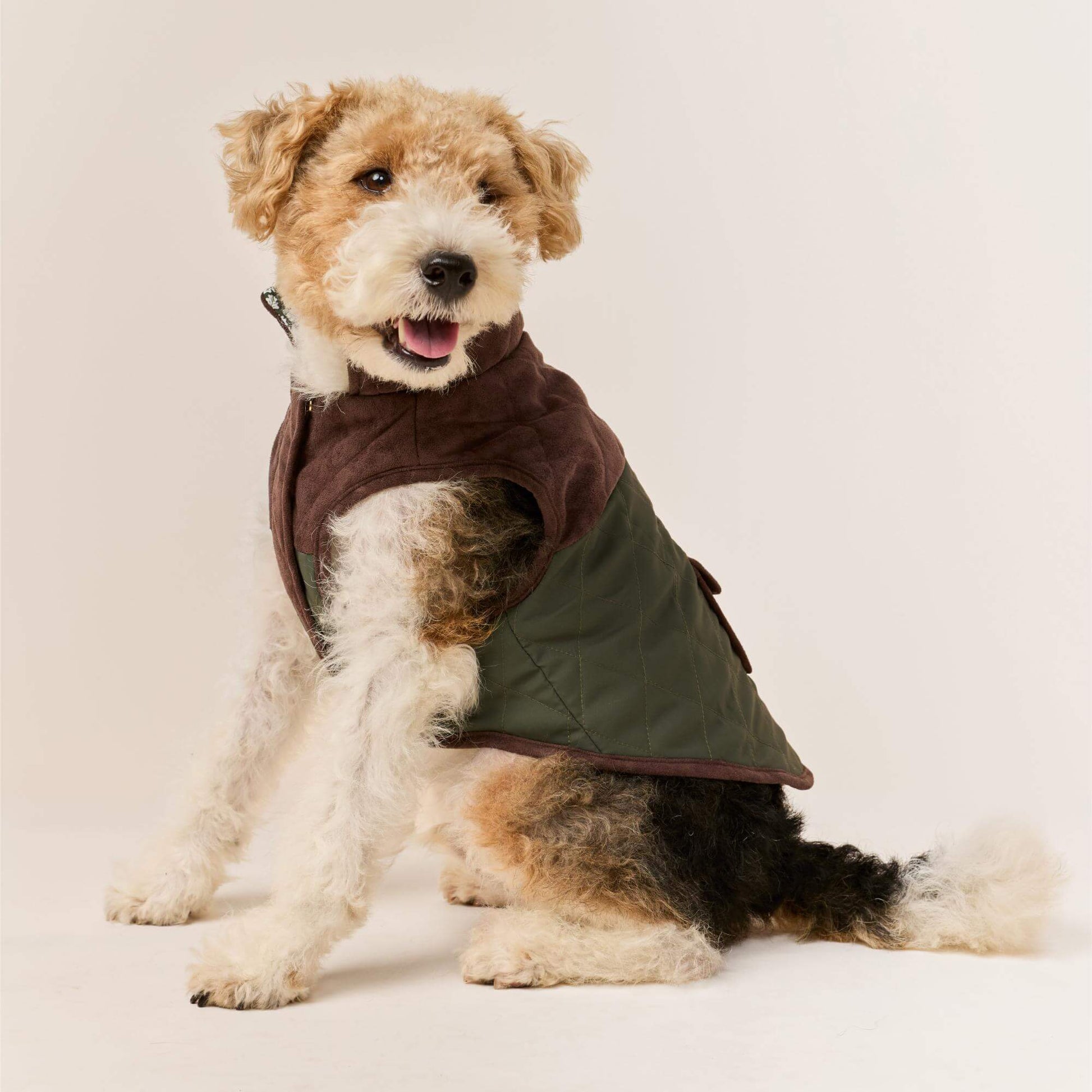 #Modeled by Sesame (27lbs) in Medium