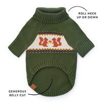 Squirrel Dog Sweater from The Foggy Dog