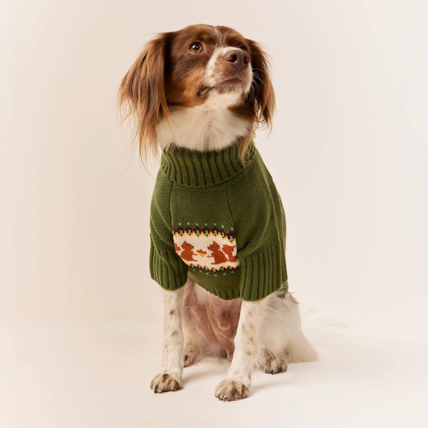 #Modeled by Ollie (20lbs) in Medium