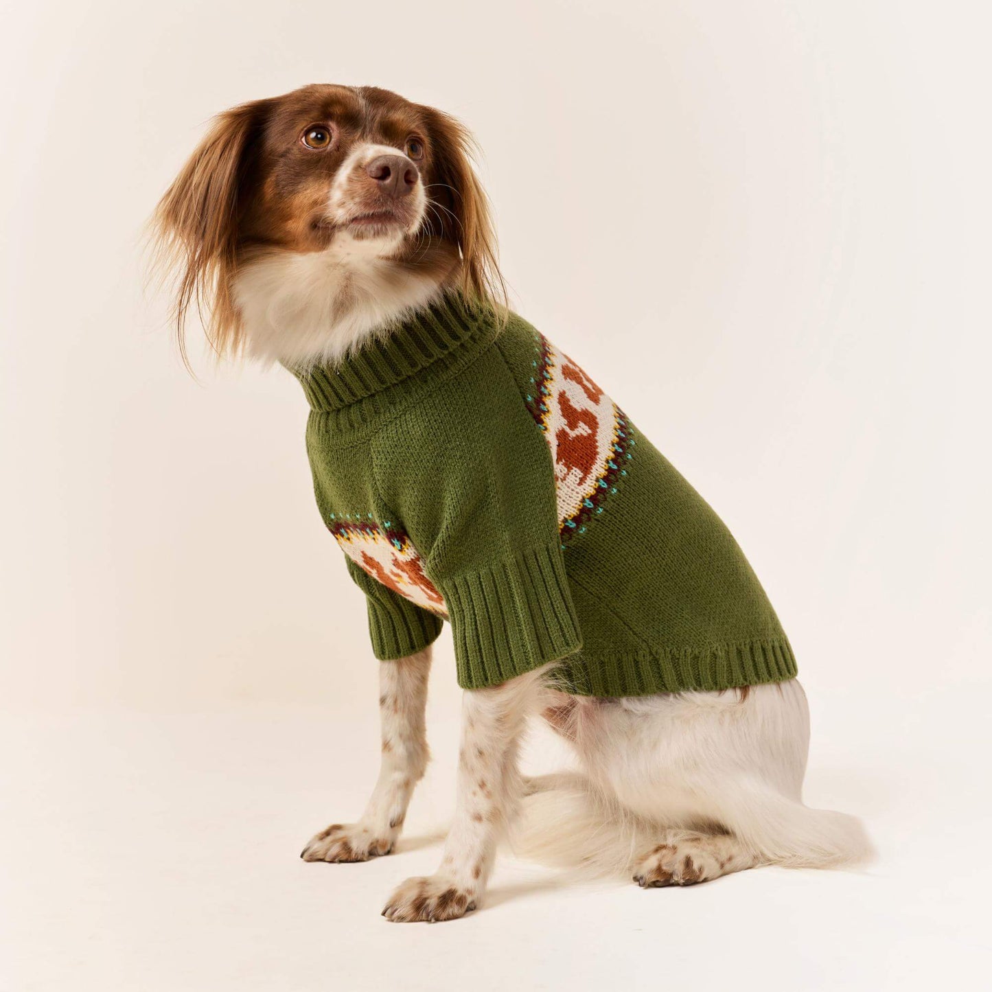 #Modeled by Ollie (20lbs) in Medium