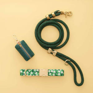 Dainty Daisies Collar Walk Set from The Foggy Dog