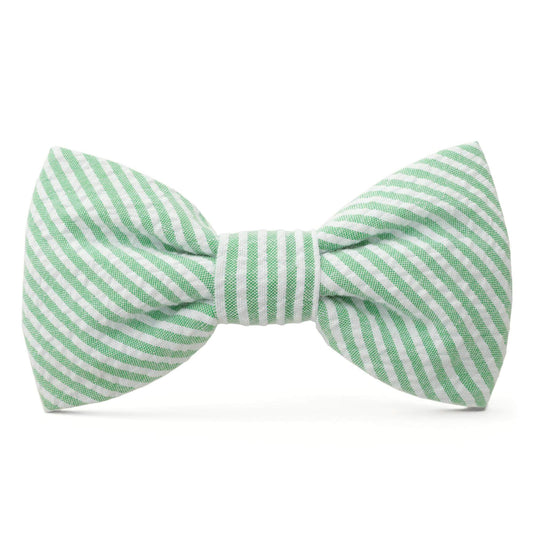 Green Seersucker Dog Bow Tie from The Foggy Dog