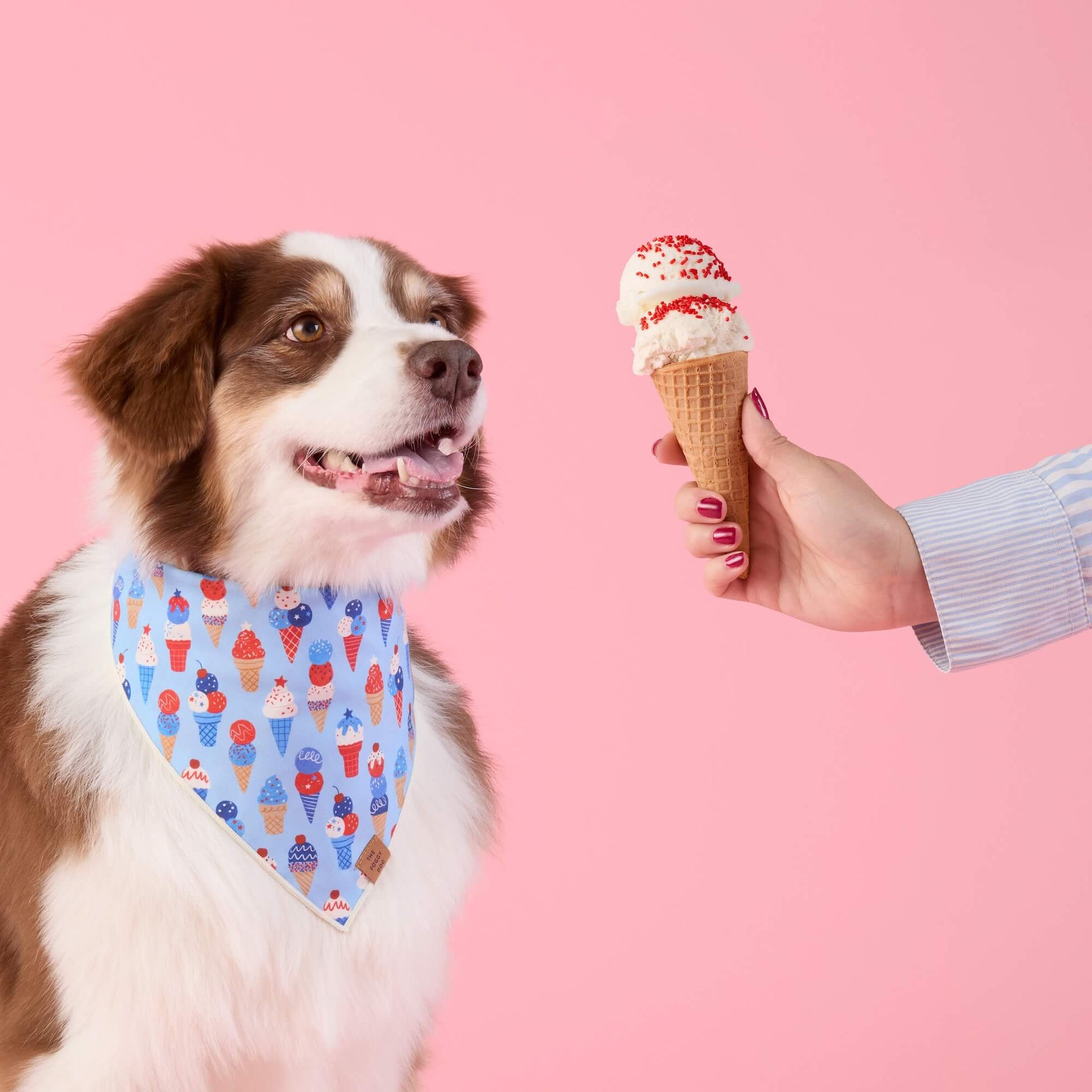 #Modeled by Sis (30lbs) in Medium