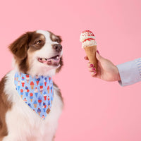 #Modeled by Sis (30lbs) in Medium