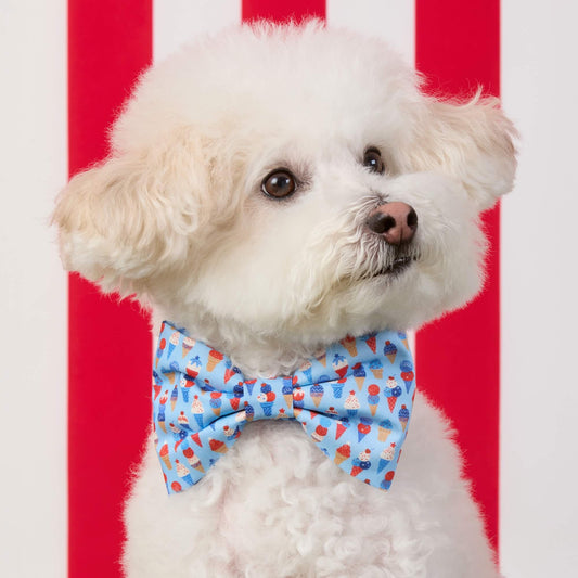 #Modeled by Mochi (14lbs) in a Large bow tie