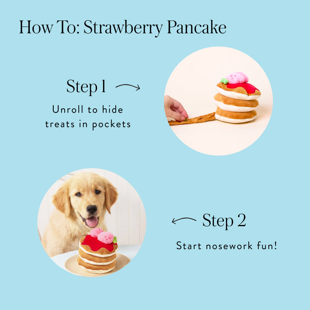 Strawberry Pancake Interactive Toy from The Foggy Dog