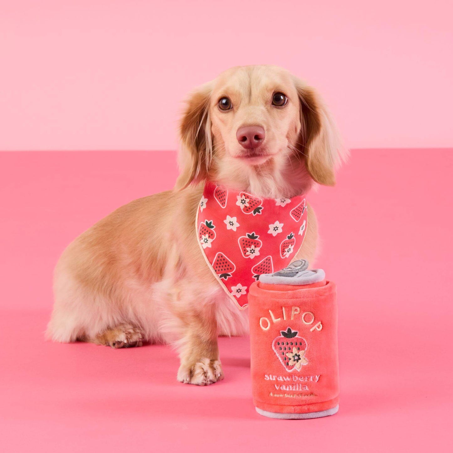OLIPOP x TFD Strawberry Vanilla Interactive Snuffle Dog Toy from The Foggy Dog