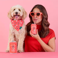 OLIPOP x TFD Strawberry Vanilla Interactive Snuffle Dog Toy from The Foggy Dog