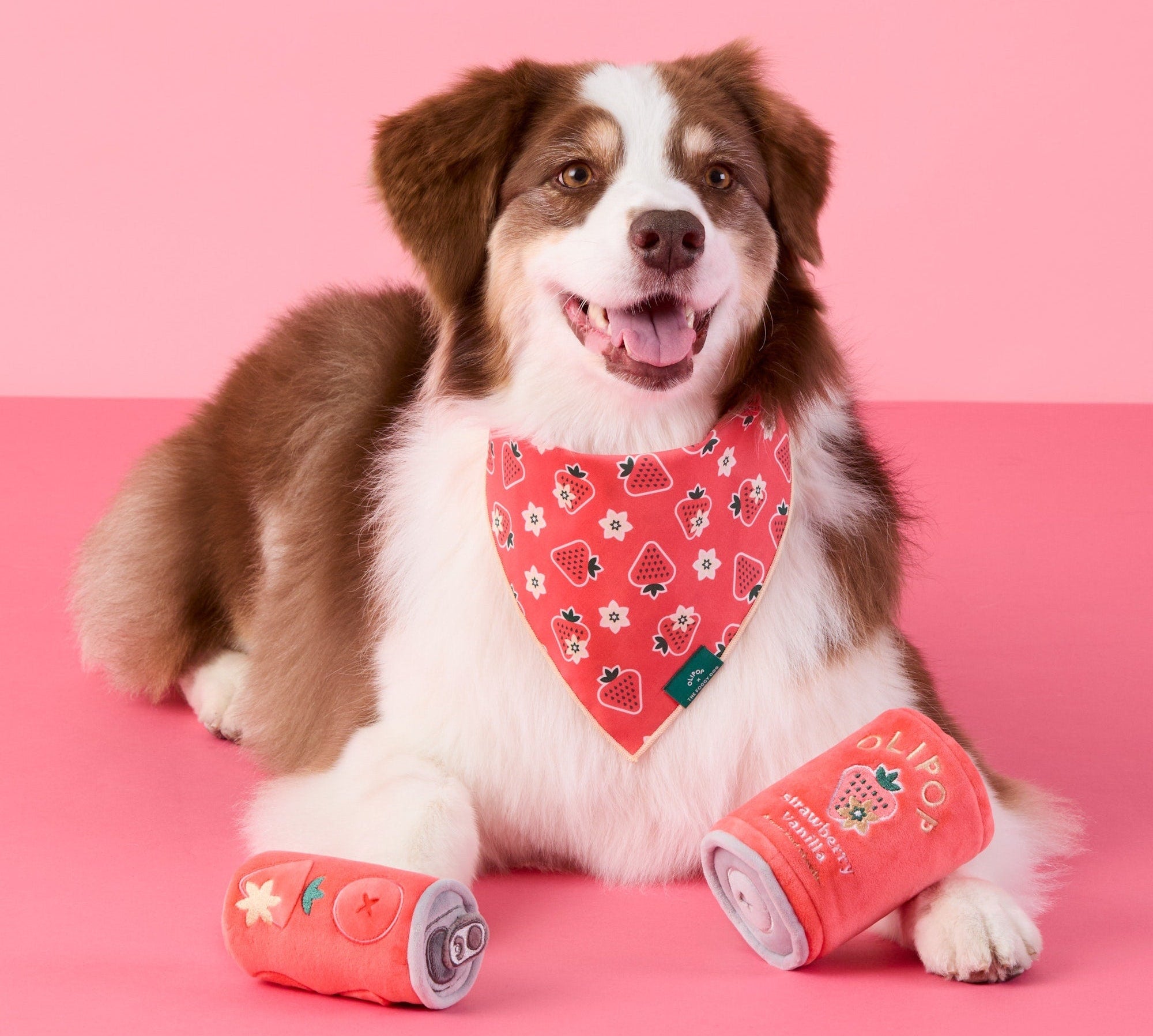 OLIPOP x TFD Cream Soda Dog Bandana – The Foggy Dog