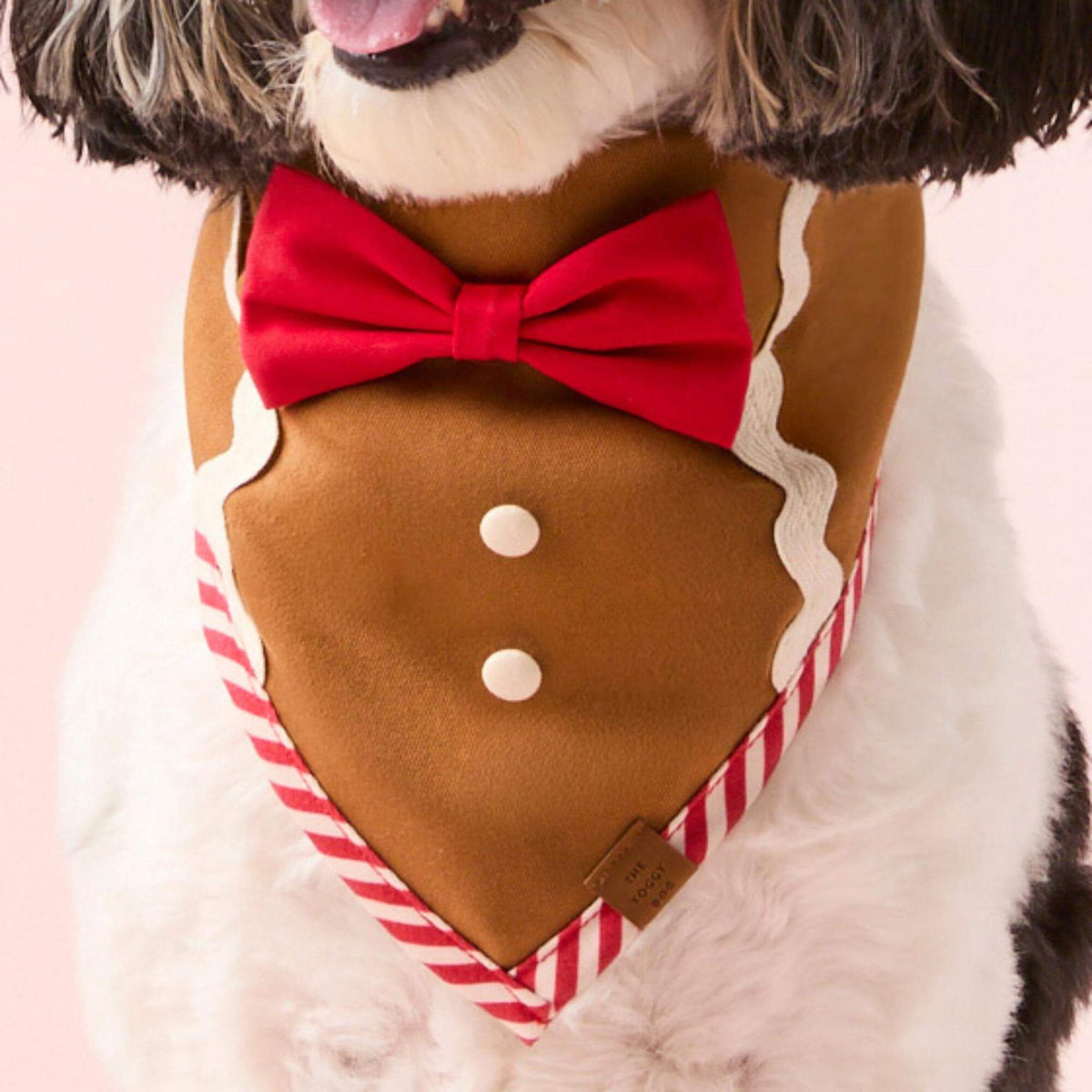 #Modeled by Reese (40lbs) in Medium