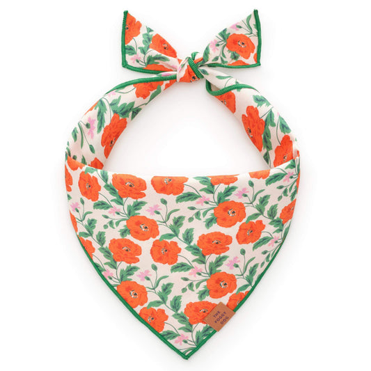 Golden Poppies Dog Bandana from The Foggy Dog