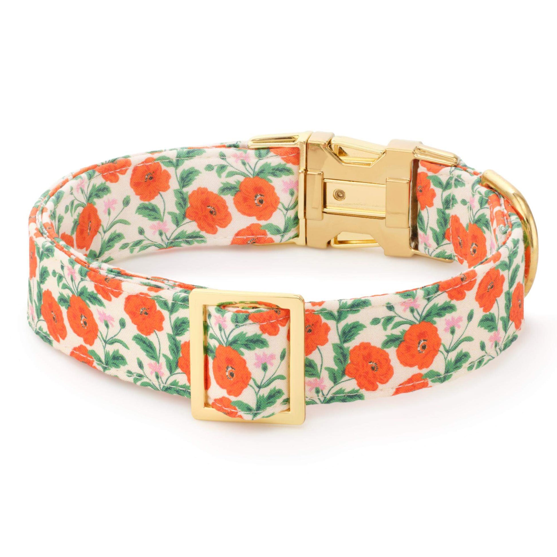 Golden Poppies Dog Collar from The Foggy Dog