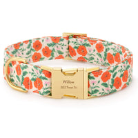 Golden Poppies Dog Collar from The Foggy Dog