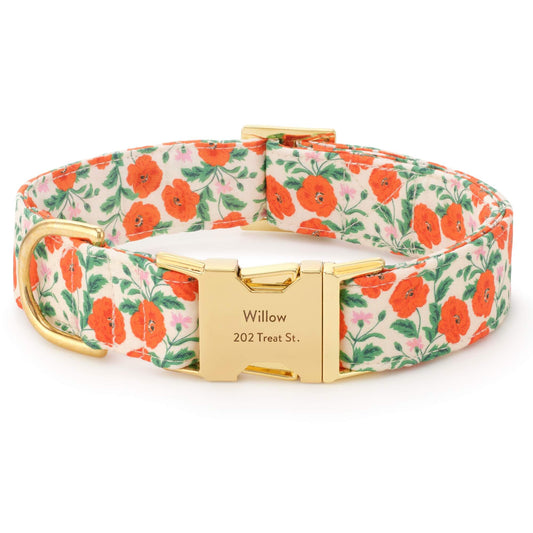 Golden Poppies Dog Collar from The Foggy Dog