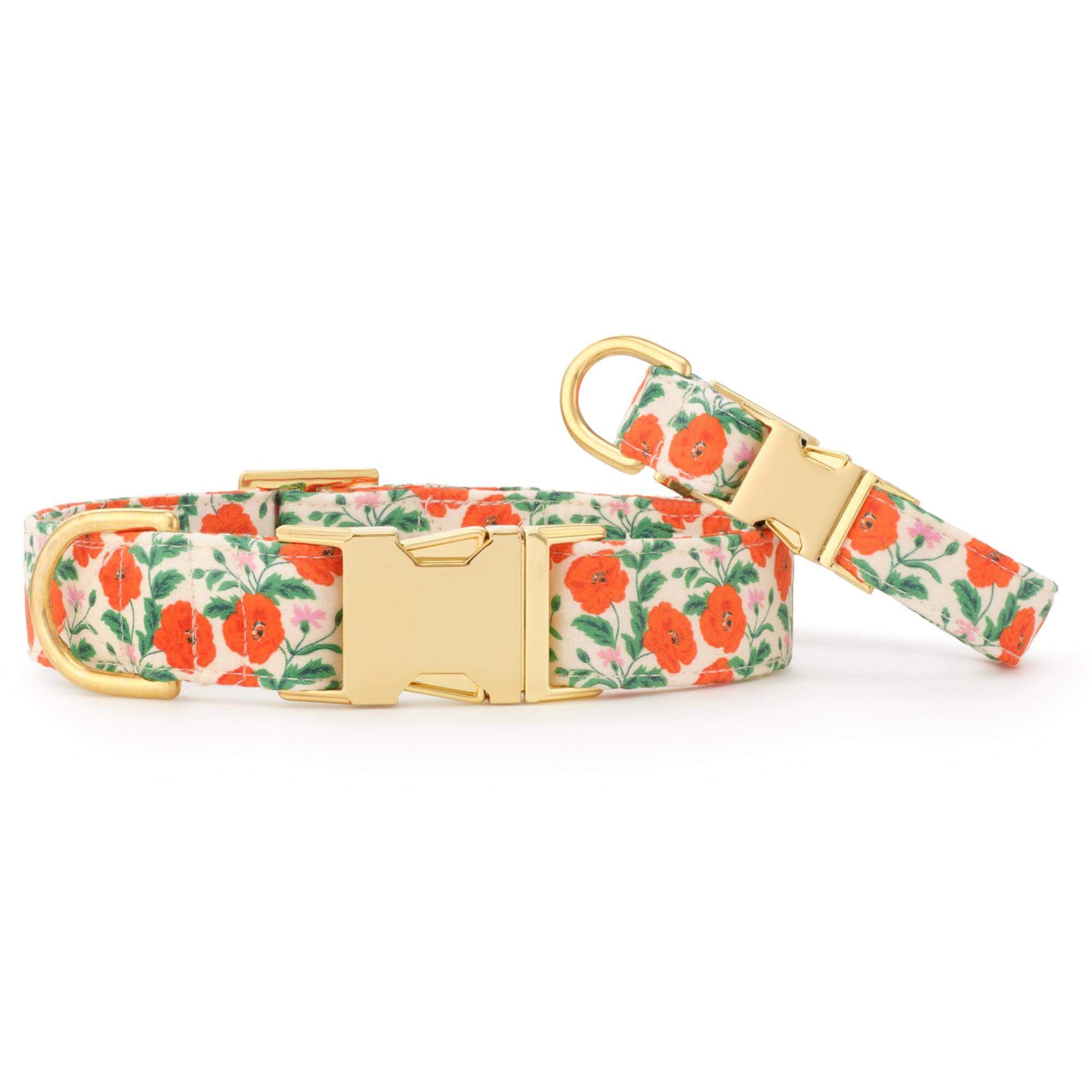 Golden Poppies Dog Collar from The Foggy Dog