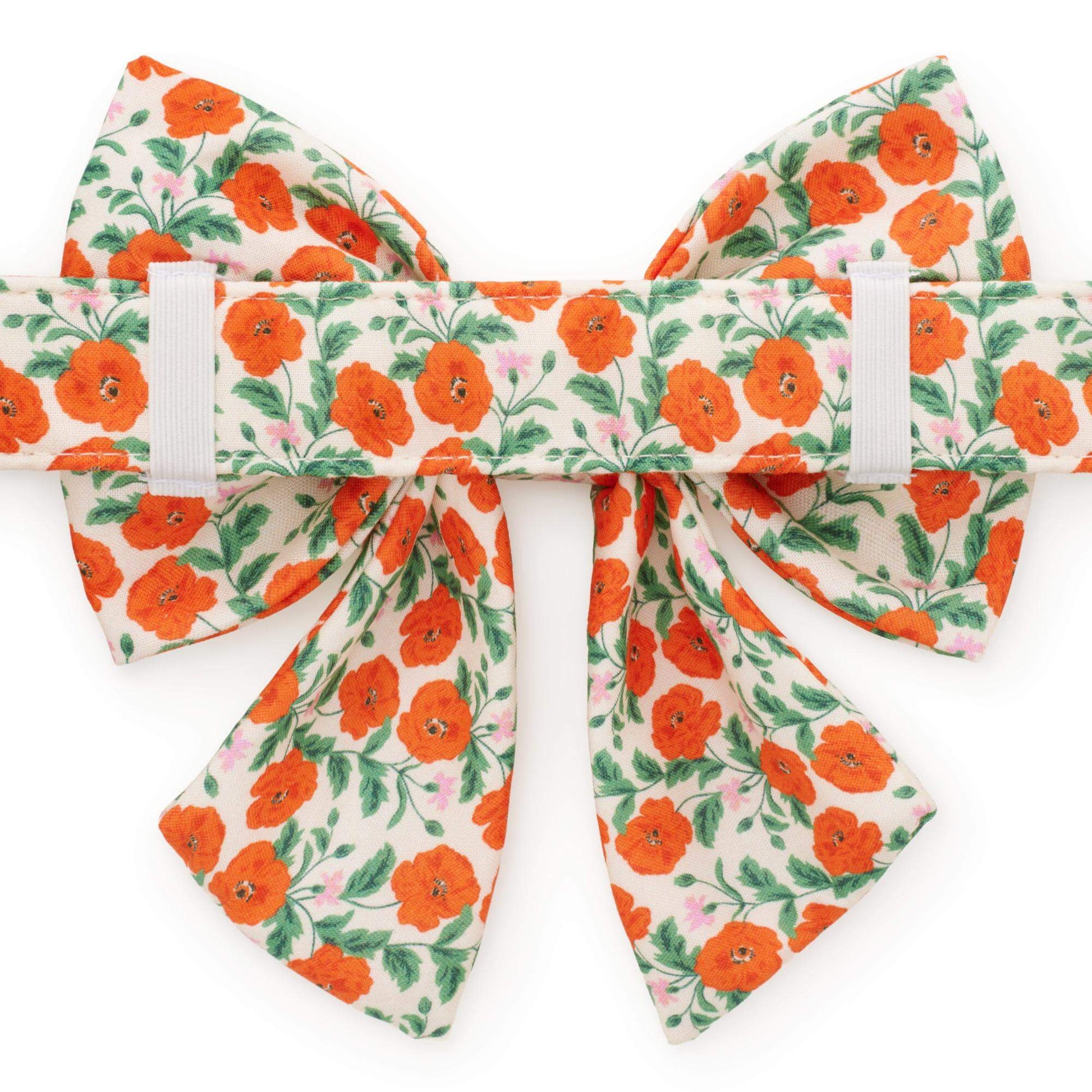 Golden Poppies Lady Bow Collar from The Foggy Dog