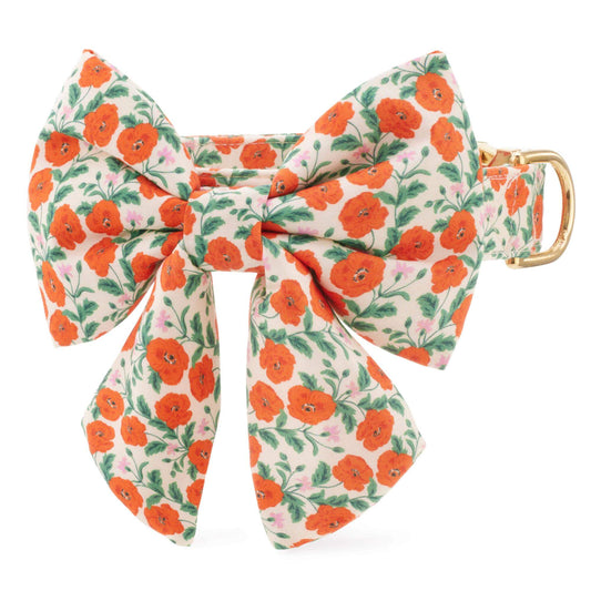 Golden Poppies Lady Bow Collar from The Foggy Dog