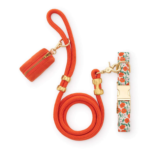 Golden Poppies Collar Walk Set from The Foggy Dog
