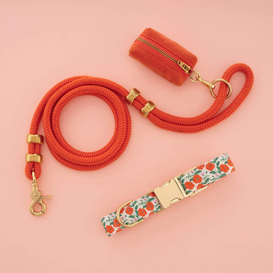 Golden Poppies Collar Walk Set