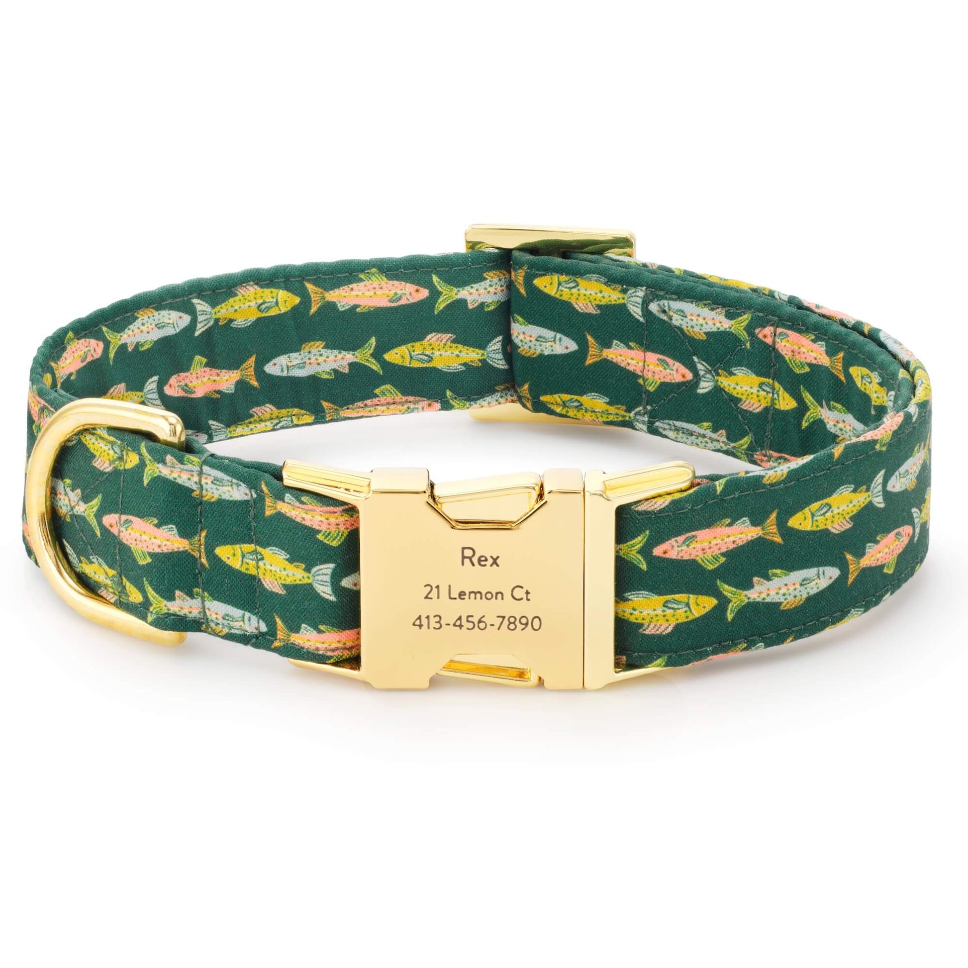 Gone Fishing Dog Collar | | Cute Personalization & Custom Name Engraving Option | The Foggy Dog | Multicolor, Green | XS - 8-11”