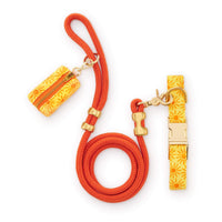 Here Comes the Sun Collar Walk Set from The Foggy Dog