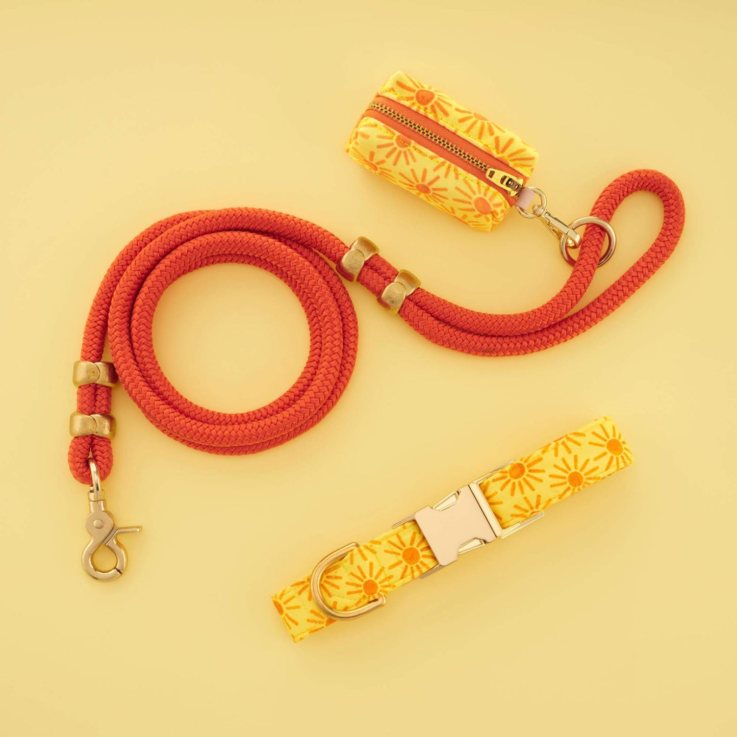 Here Comes the Sun Collar Walk Set from The Foggy Dog