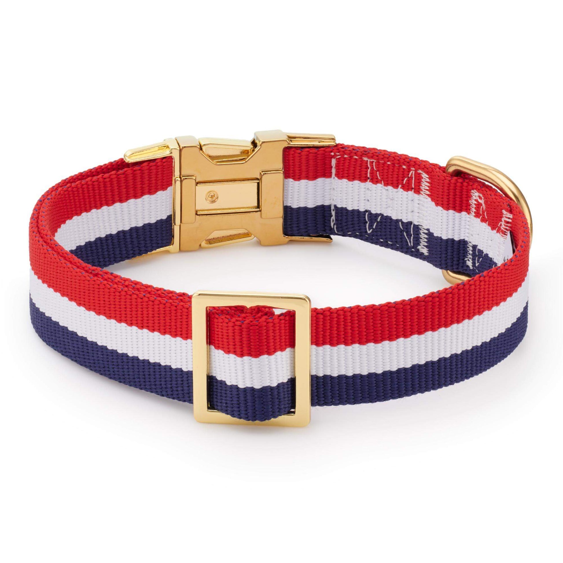 Newport Striped Webbing Dog Collar from The Foggy Dog