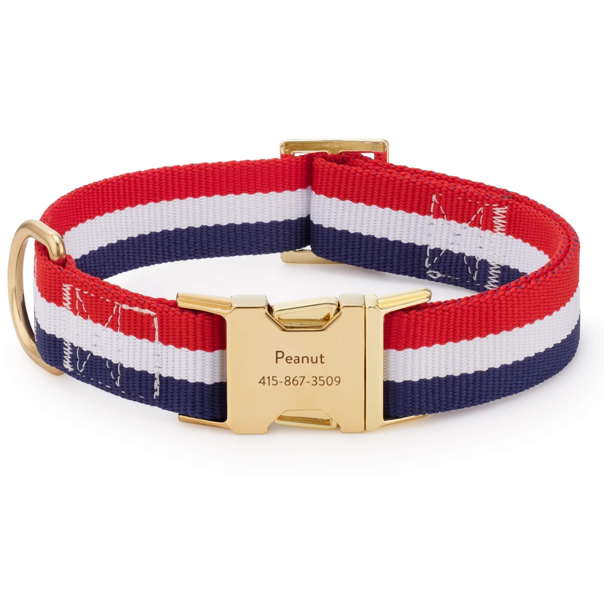 Newport Striped Webbing Dog Collar from The Foggy Dog