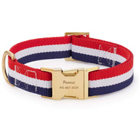 Newport Striped Webbing Dog Collar from The Foggy Dog