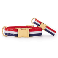 Newport Striped Webbing Dog Collar from The Foggy Dog