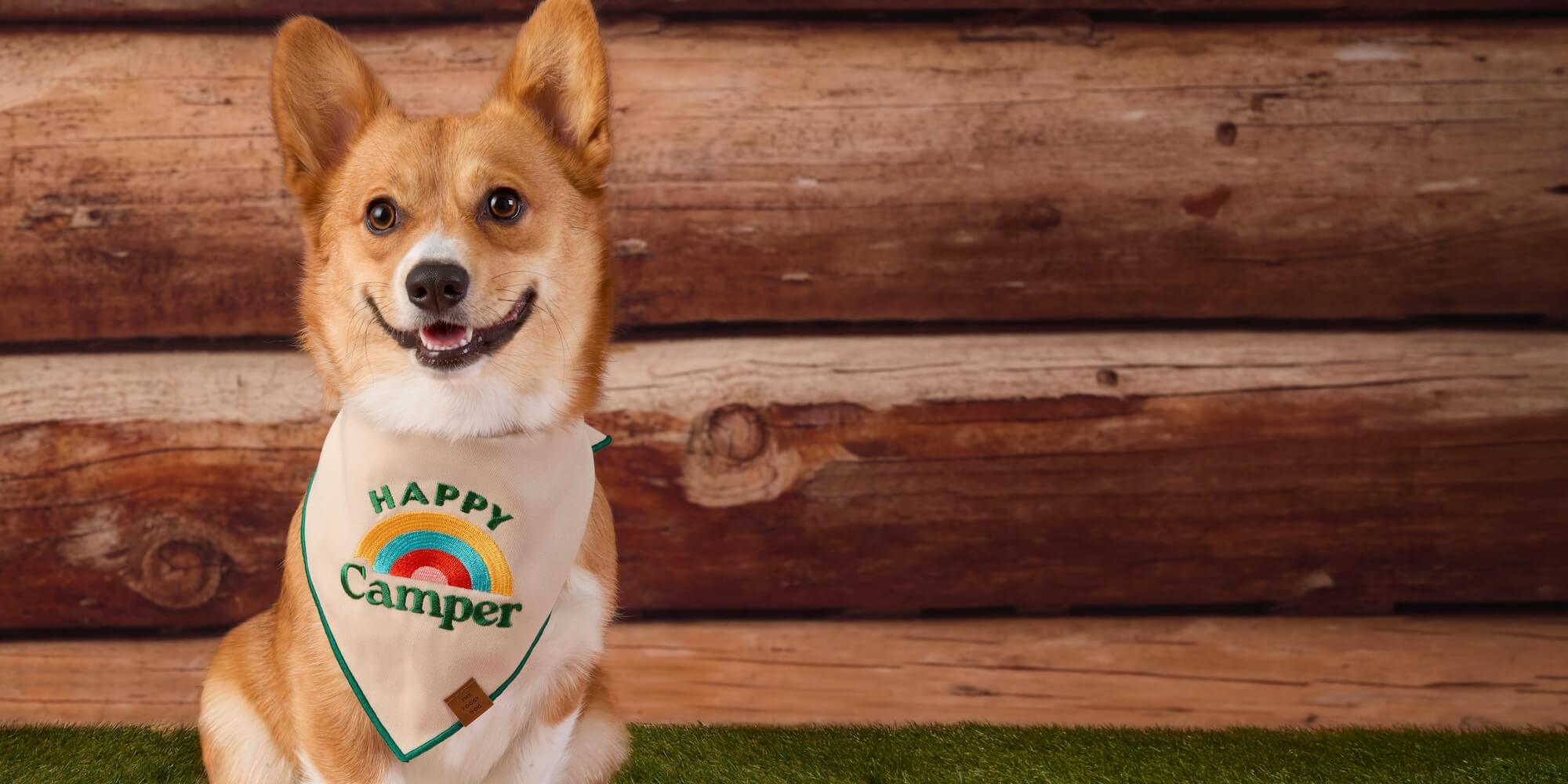 The Foggy Dog - Your Best Friend Deserves the Best