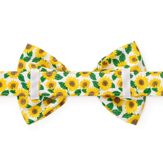 You are My Sunshine Bow Tie Collar from The Foggy Dog