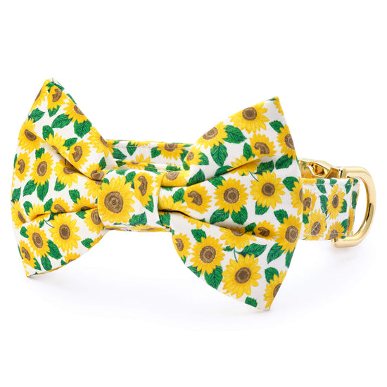 You are My Sunshine Bow Tie Collar from The Foggy Dog