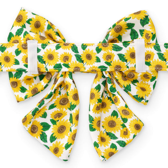 You are My Sunshine Lady Bow Collar from The Foggy Dog