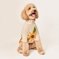 #Modeled by Luna (40lbs) in Large