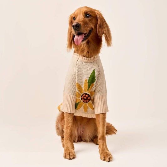 Sunflower Dog Sweater view 2