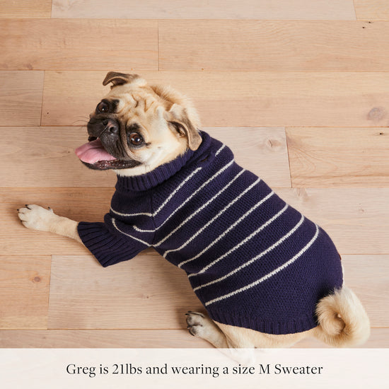 Draper James x TFD Mariner Stripe Dog Sweater