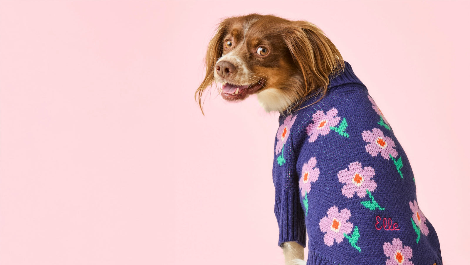 Sweaters, Jackets and Apparel at The Foggy Dog