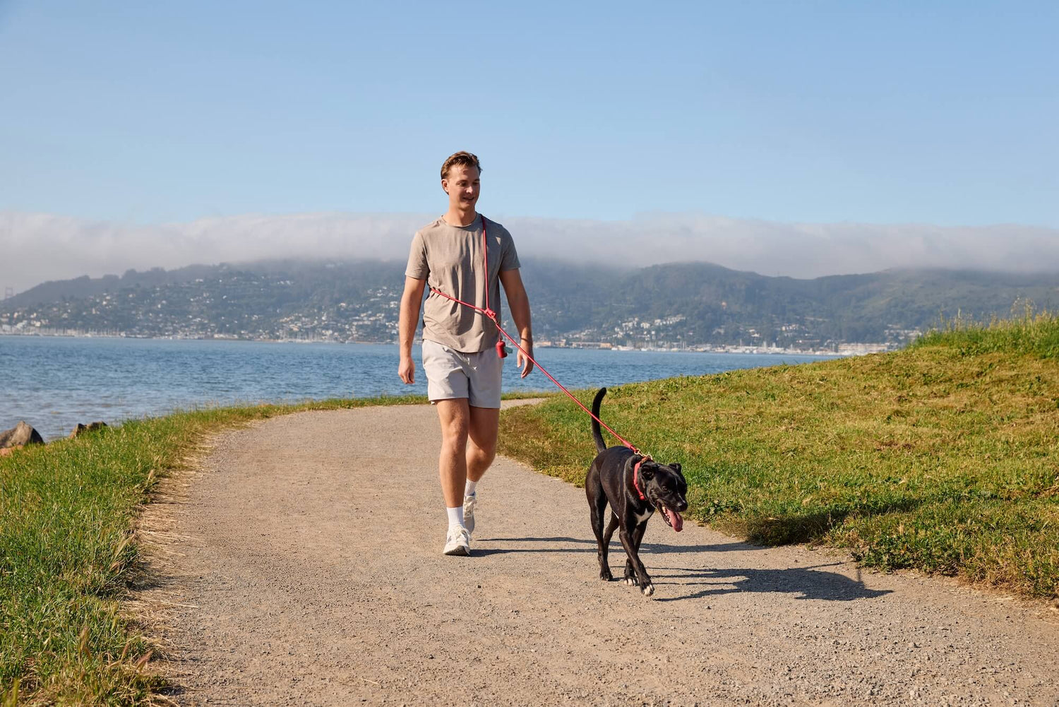Active Everyday Walk Set, Ember from The Foggy Dog