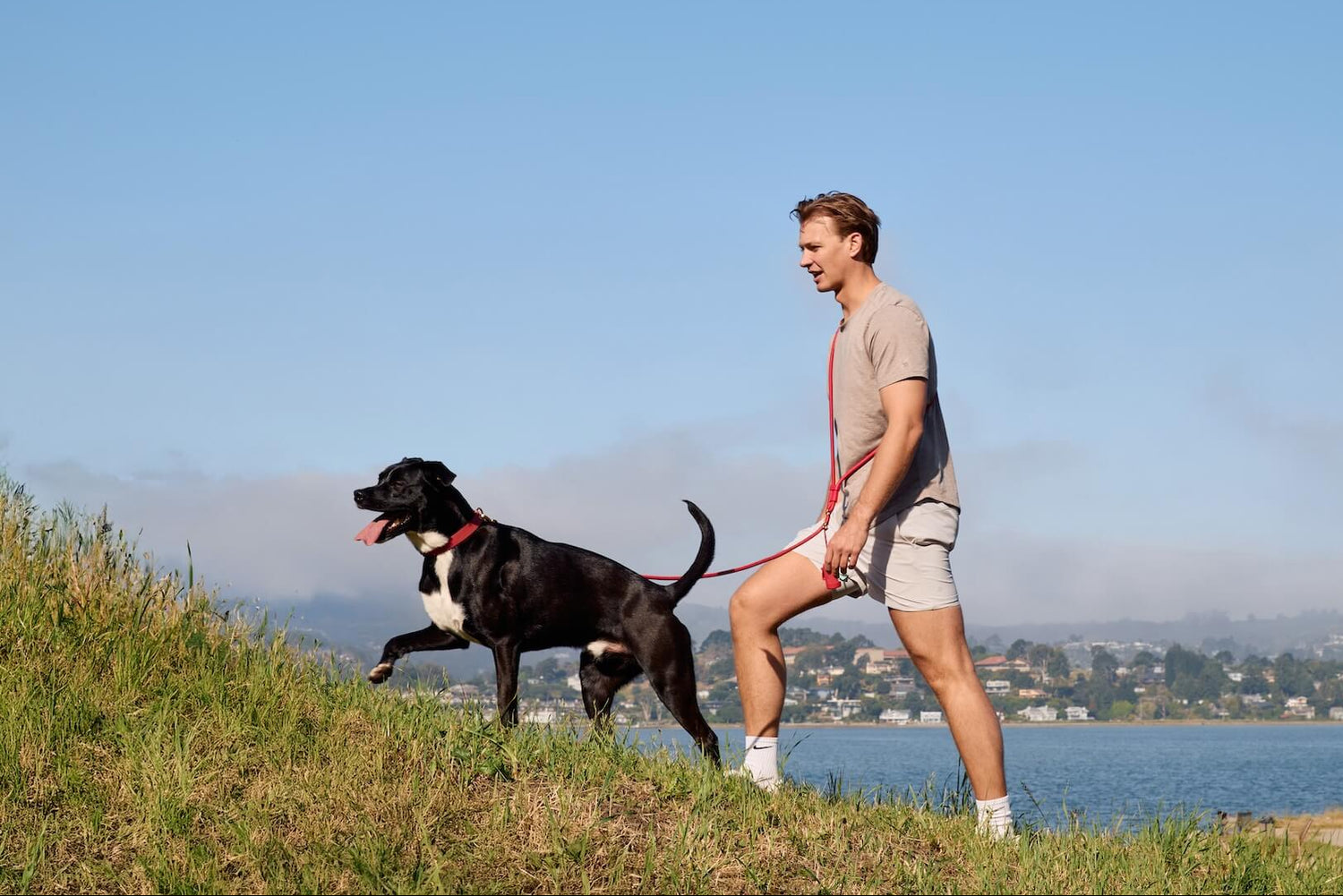 Active Everyday Walk Set, Ember from The Foggy Dog
