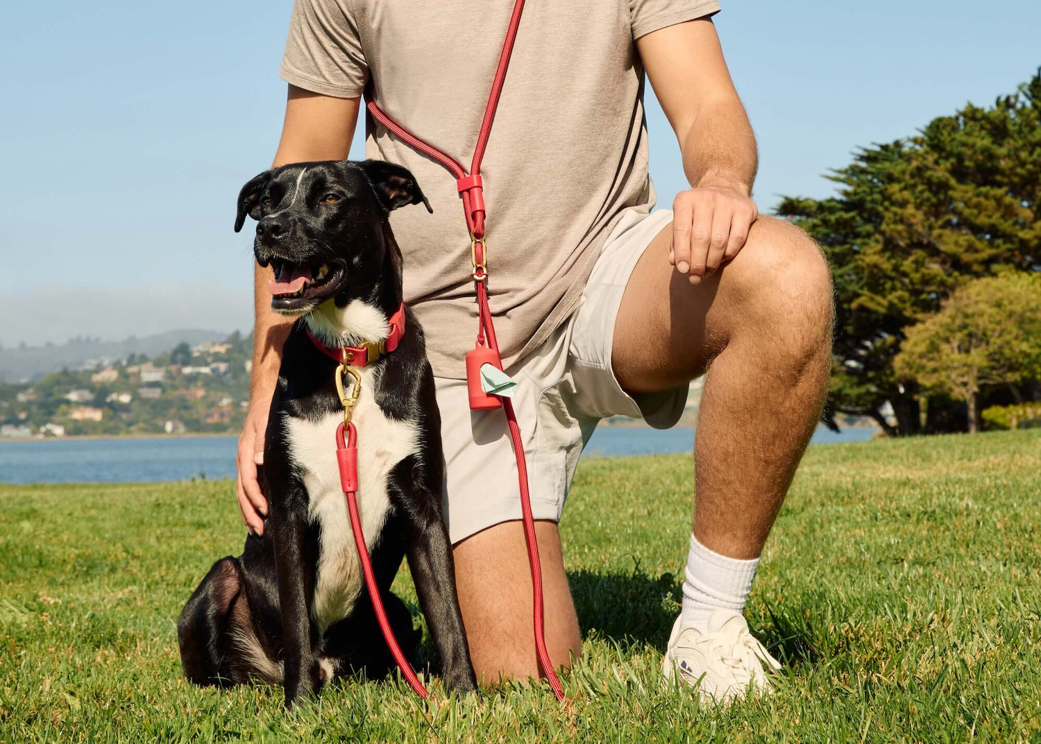 Active Everyday Walk Set, Ember from The Foggy Dog