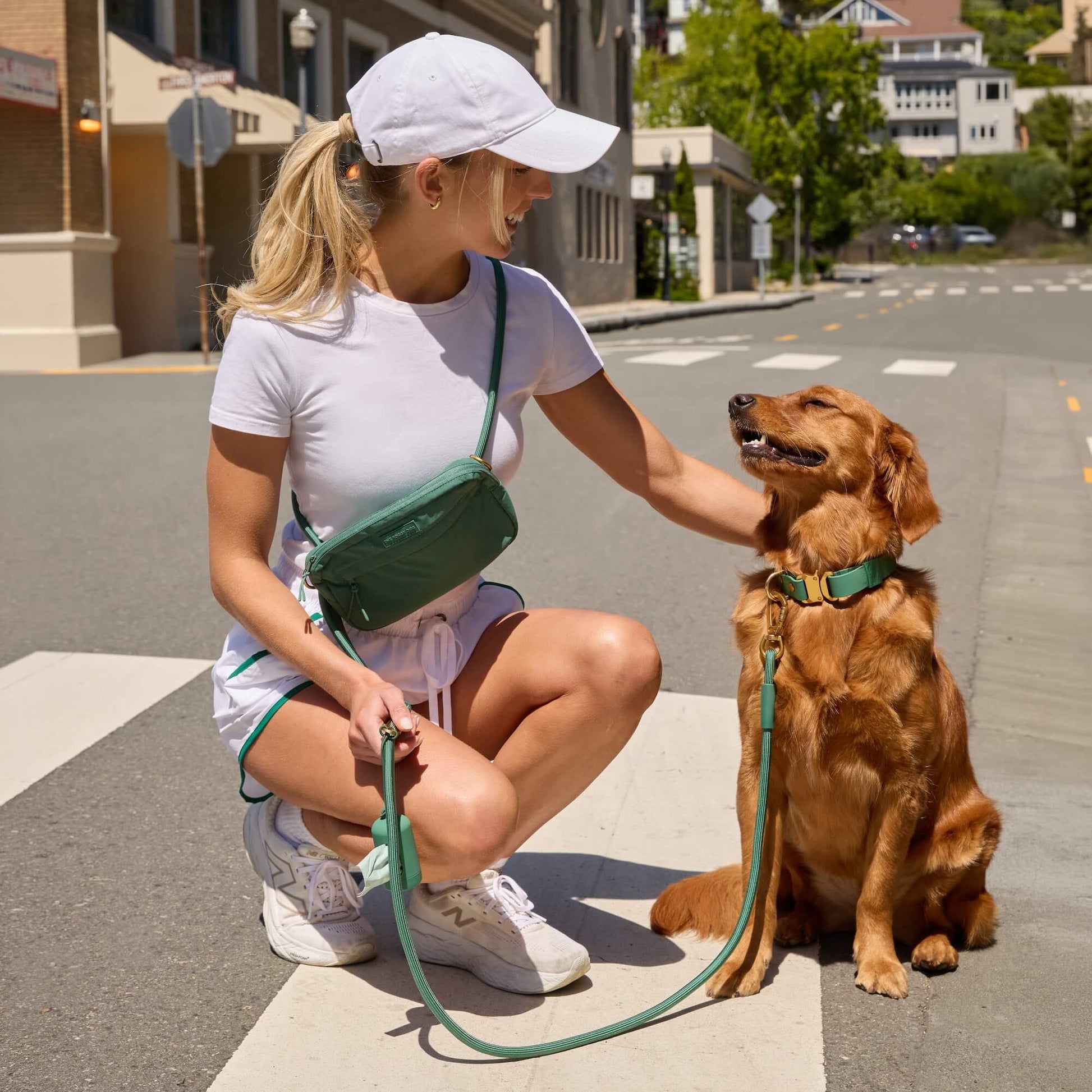 #Pukalani (45lbs) in a Medium collar and Standard leash