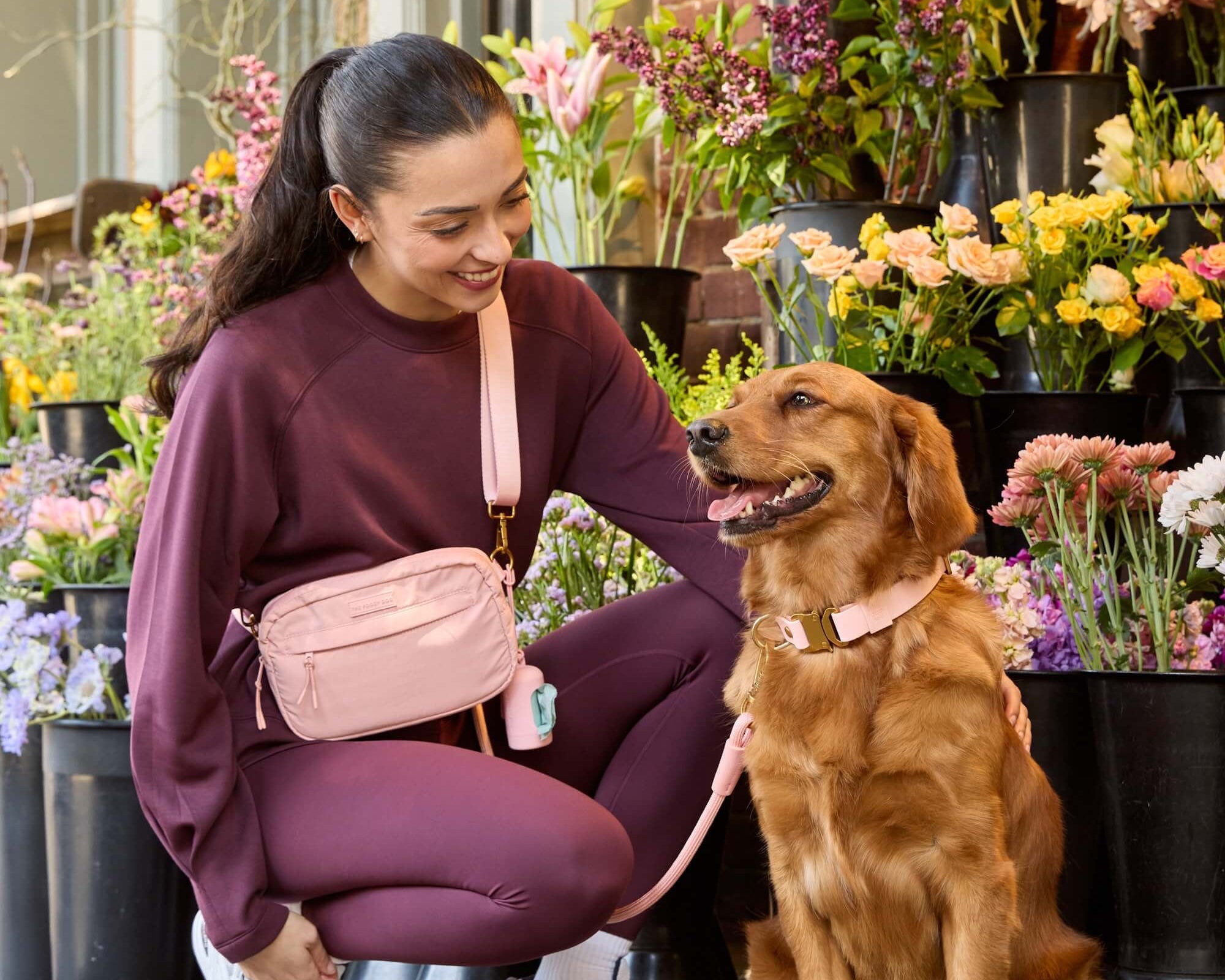 Active by The Foggy Dog Shell Adventure Walk Set, Flex Collar, Convertible Crossbody Bag, Hands-Free Leash, and Waste Bag Holder