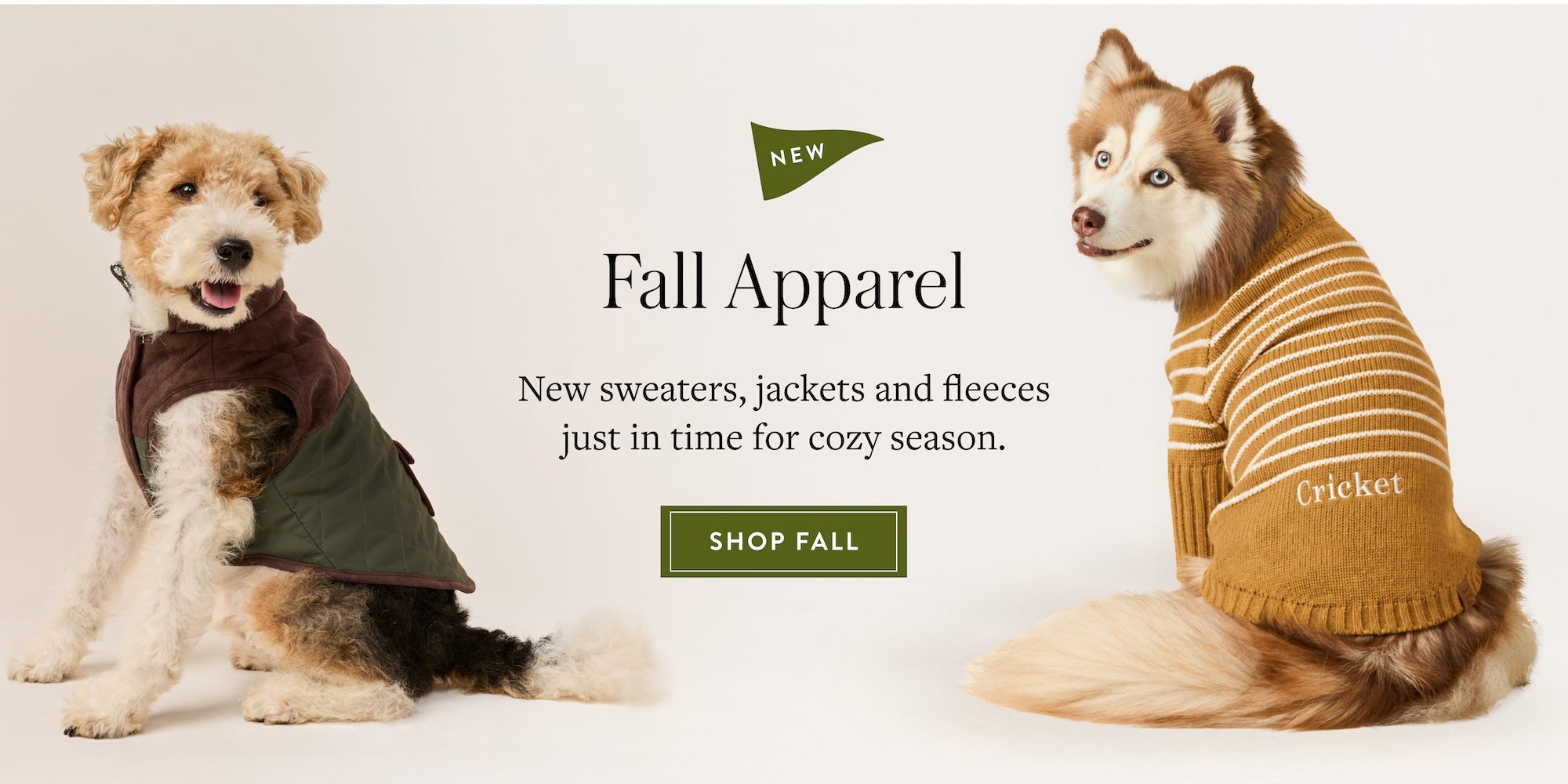 New Fall Apparel. New sweaters, jackets and fleeces just in time for cozy season. Shop Fall at The Foggy Dog