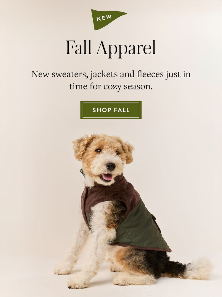 New Fall Apparel. New sweaters, jackets and fleeces just in time for cozy season. Shop Fall at The Foggy Dog