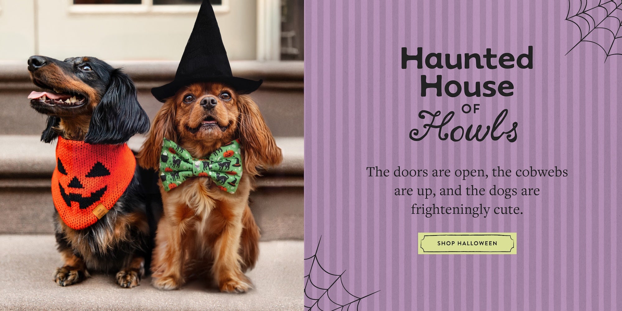 Haunted House of Howls. The doors are open, the cobwebs are up, and the dogs are frighteningly cute. Shop Halloween at The Foggy Dog